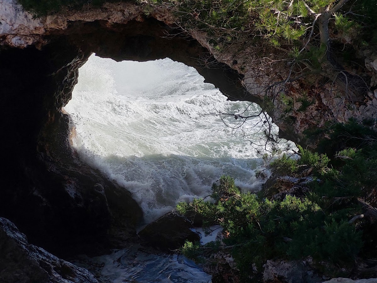Punta de Ses Crestes