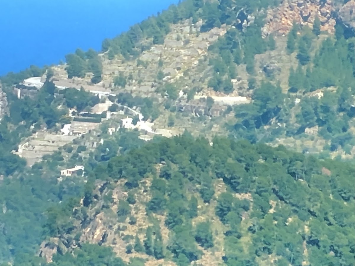 Banyalbufar