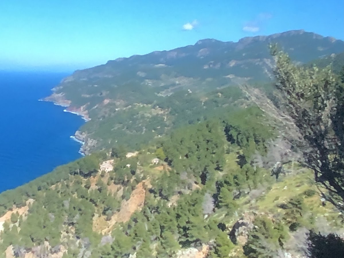 Banyalbufar