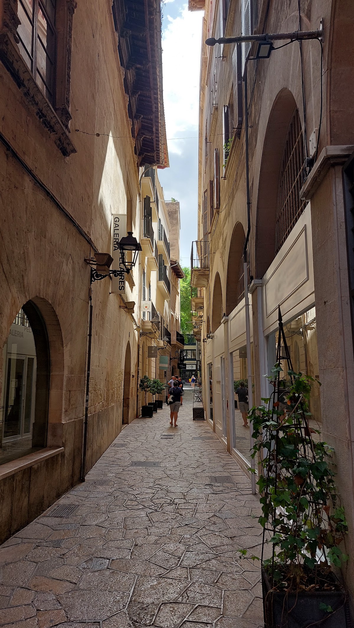 Galería Pelaires