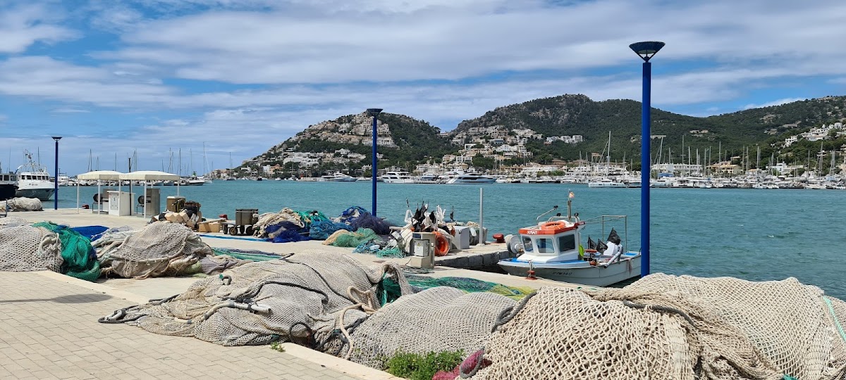 Port d'Andratx