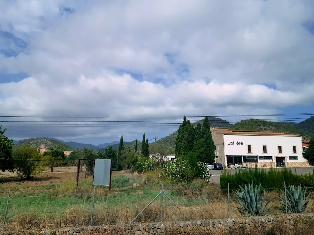 Esporles