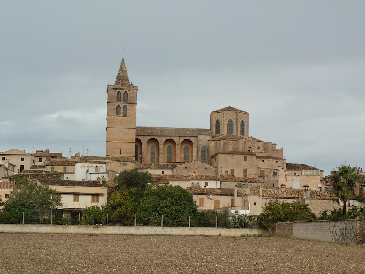 Sineu