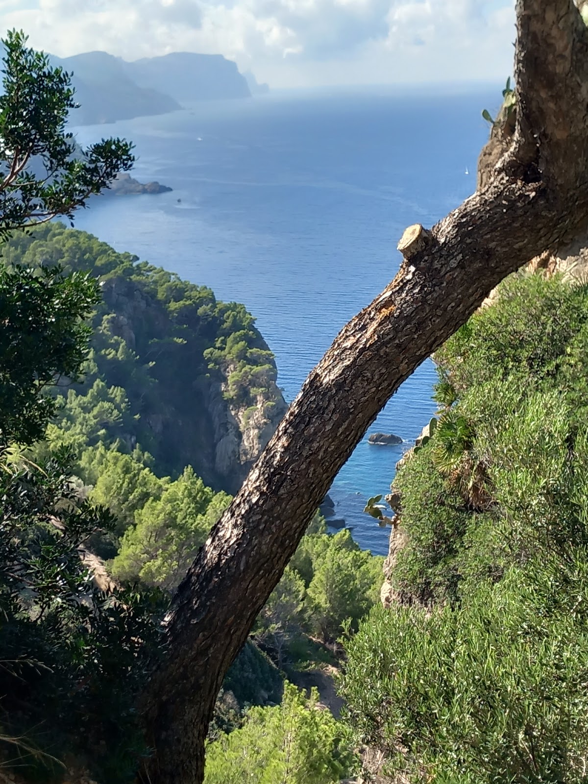 Torre del Verger