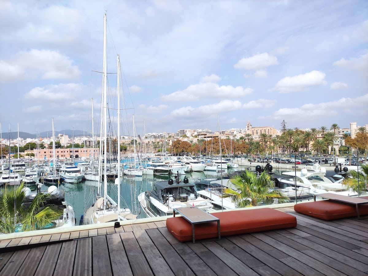 49 Steps Palma