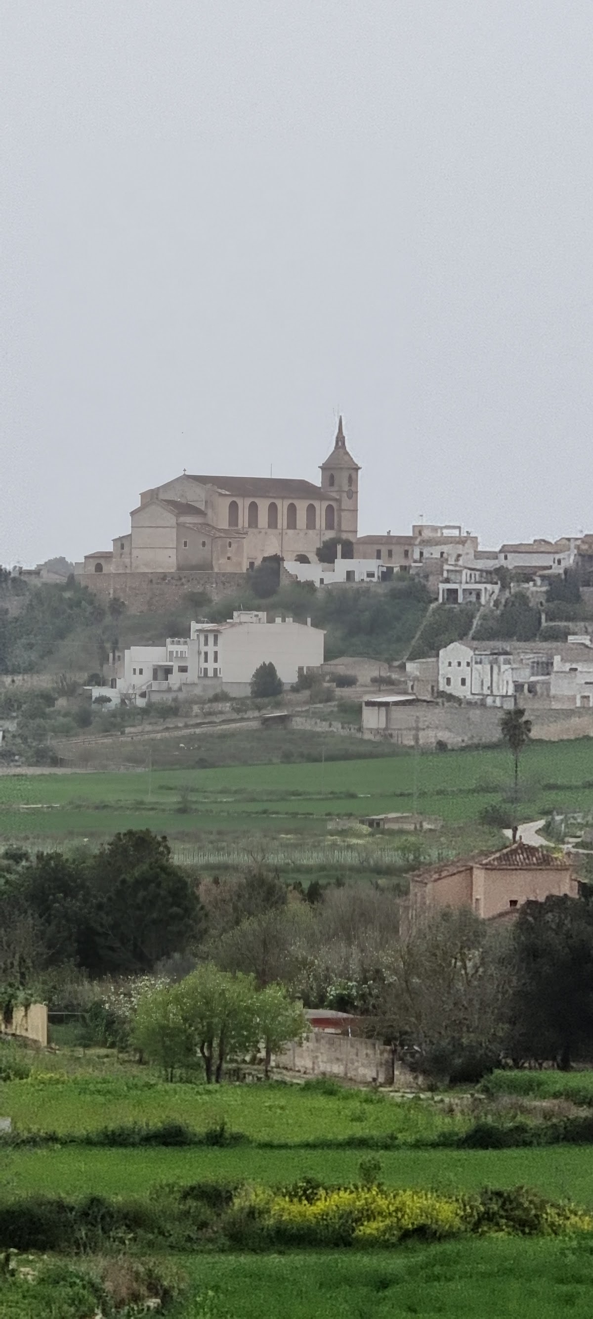 Port de Pollença