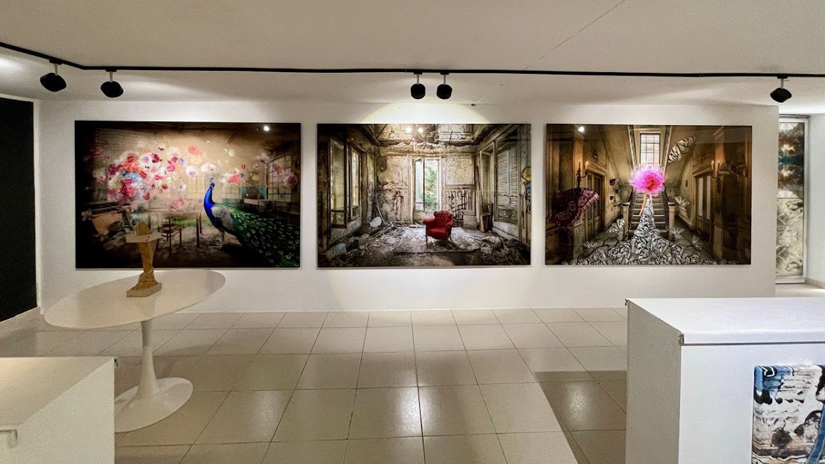 Galeria HMH S.L.