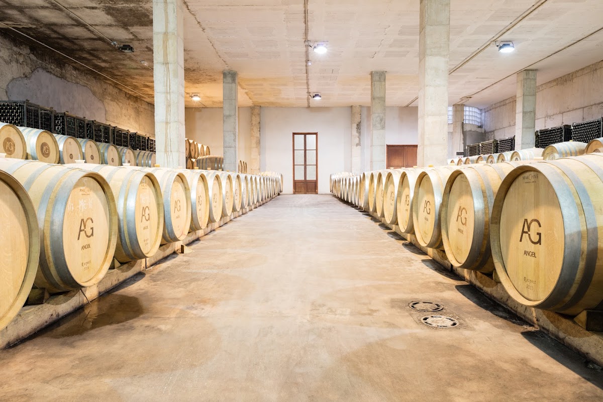 Bodegas Angel