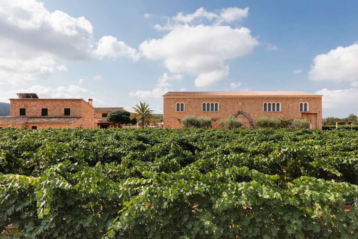 Bodegas Angel