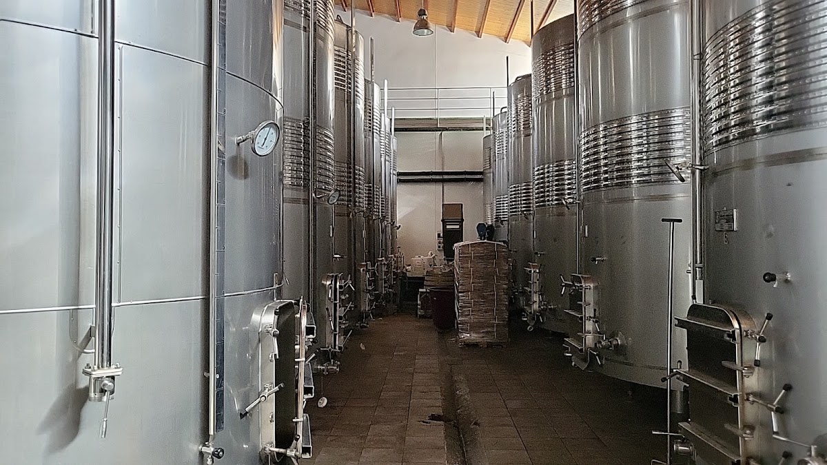 Bodegas Angel