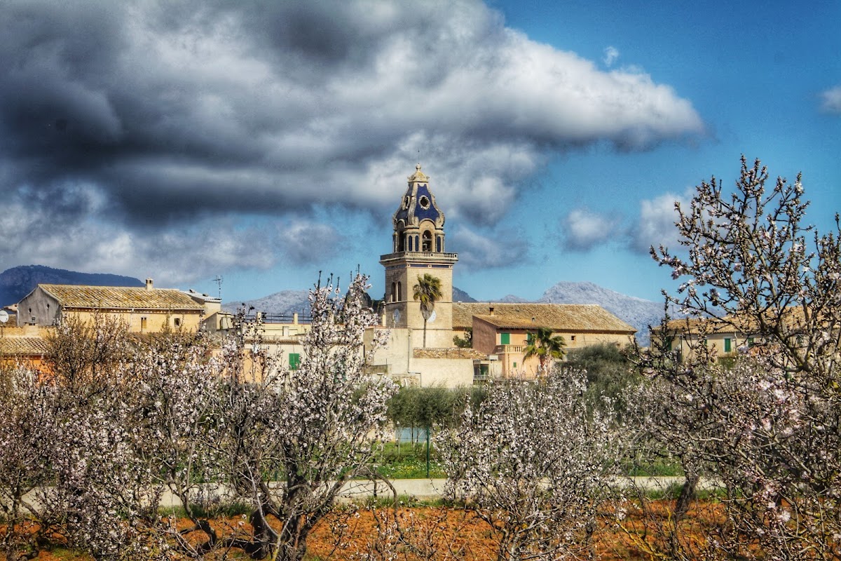Santa Maria del Camí