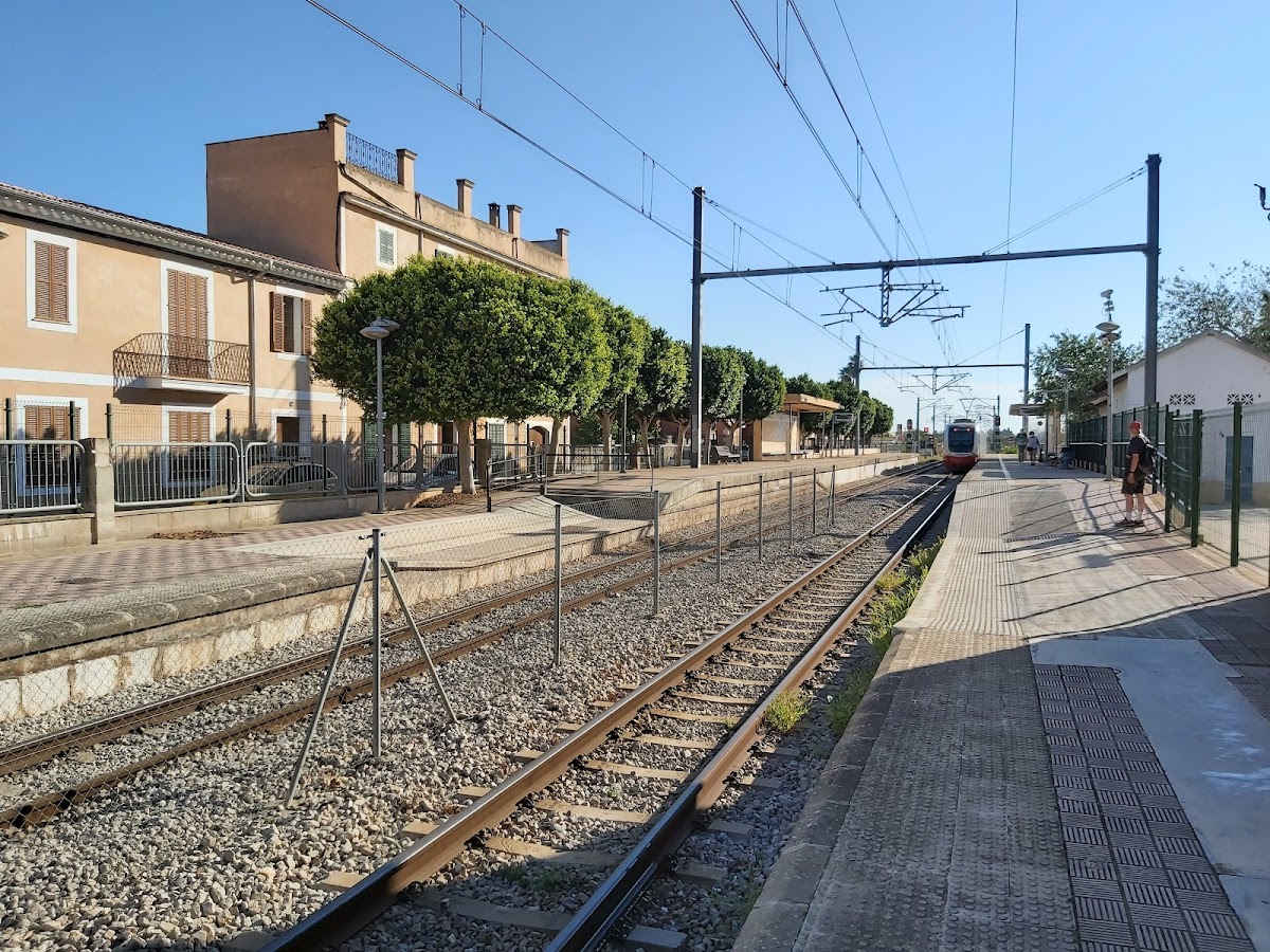 Santa Maria del Camí