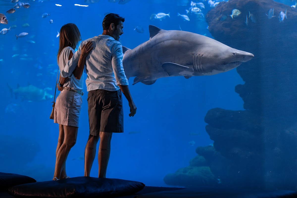 Palma Aquarium