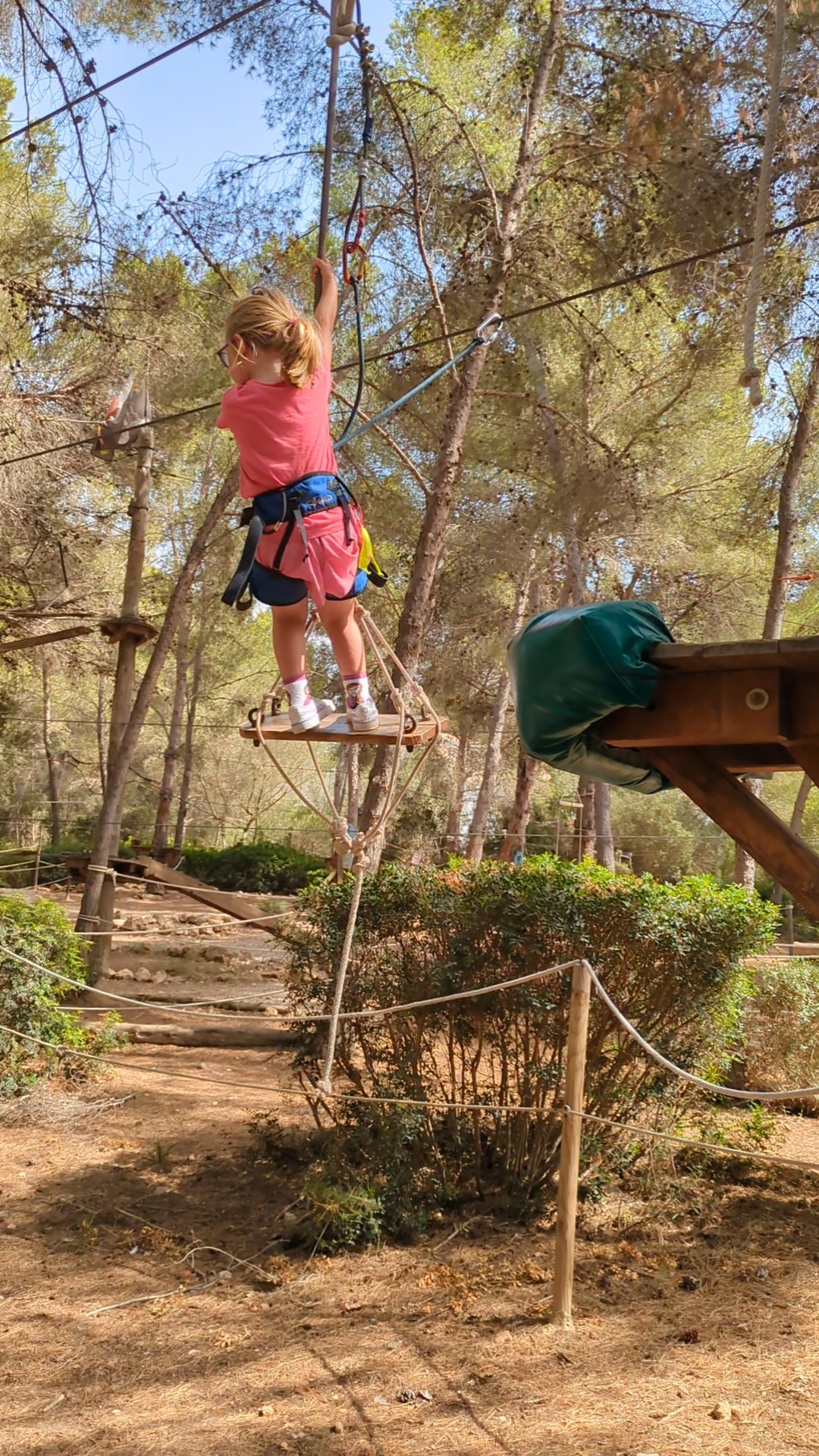 Jungle Parc
