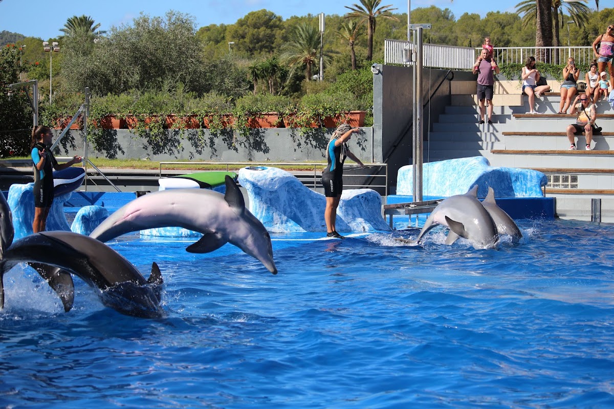Marineland Mallorca