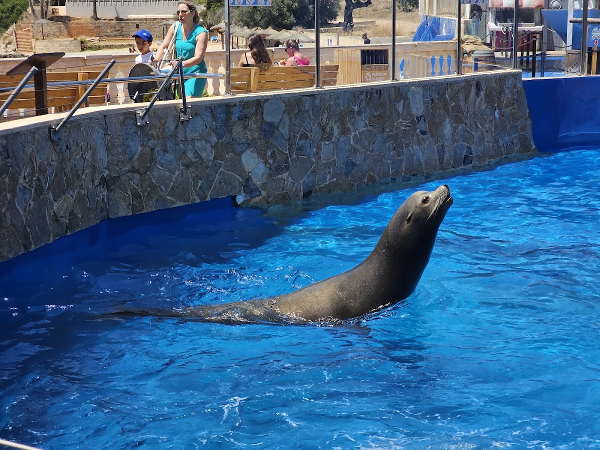 Marineland Mallorca