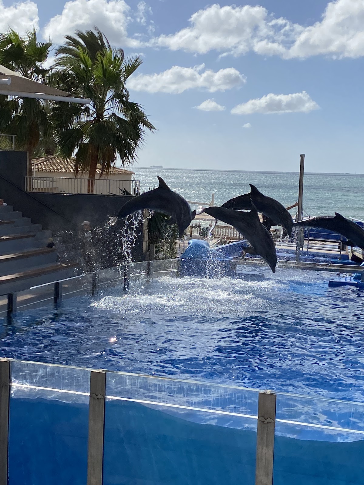 Marineland Mallorca