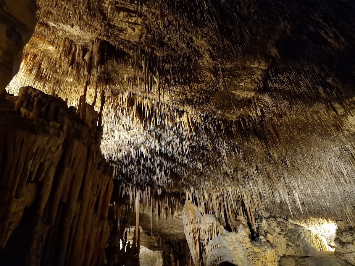 Drach Caves