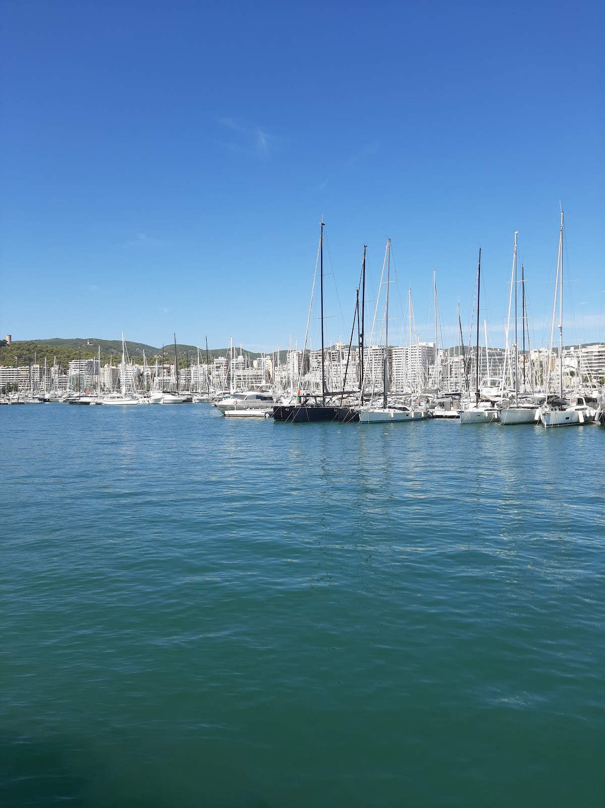 Port de Palma