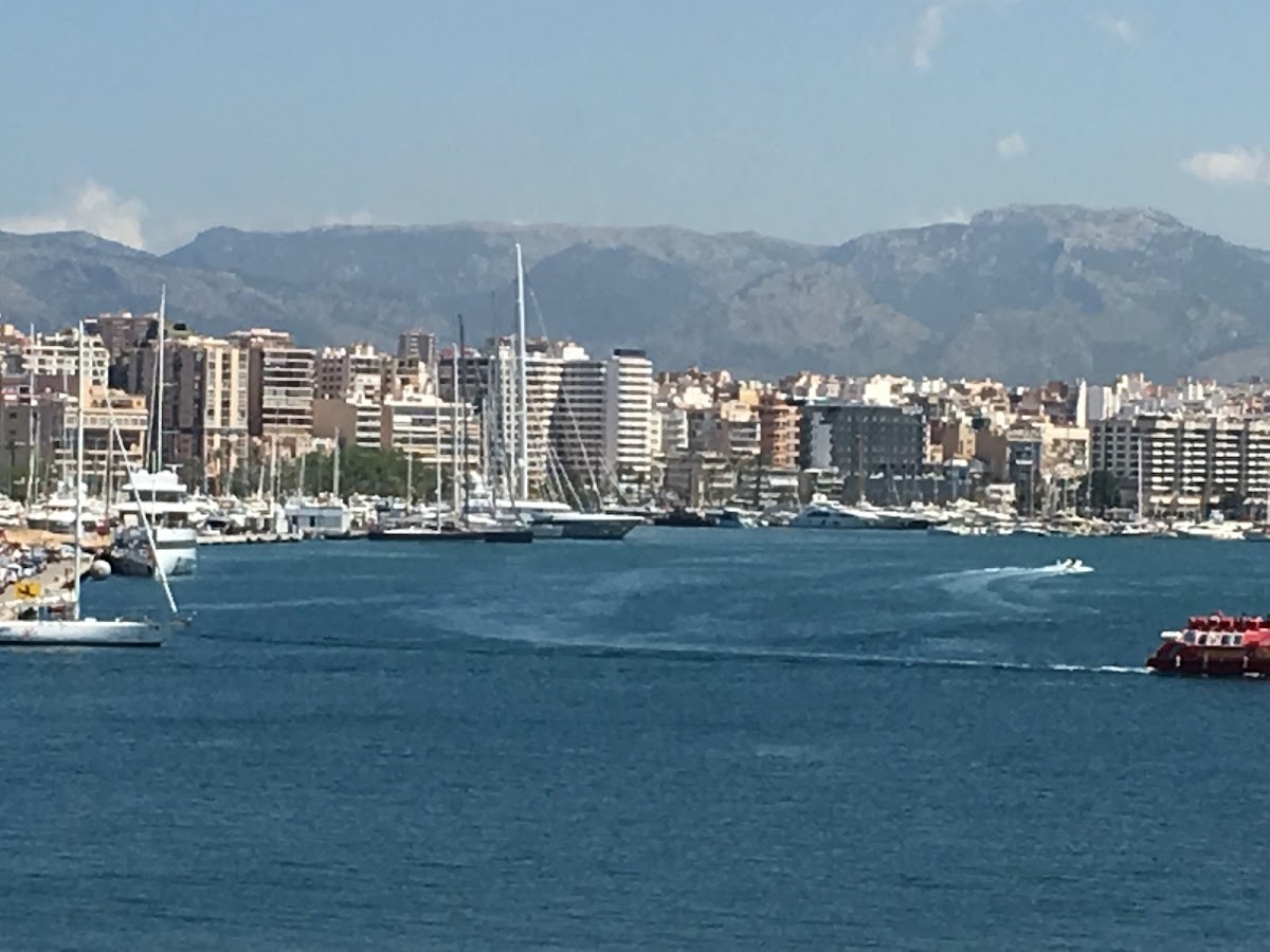 Port de Palma