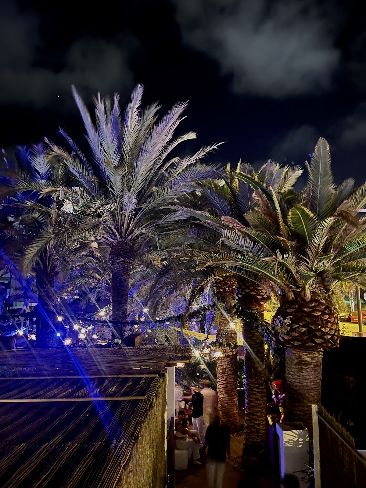 Pacha