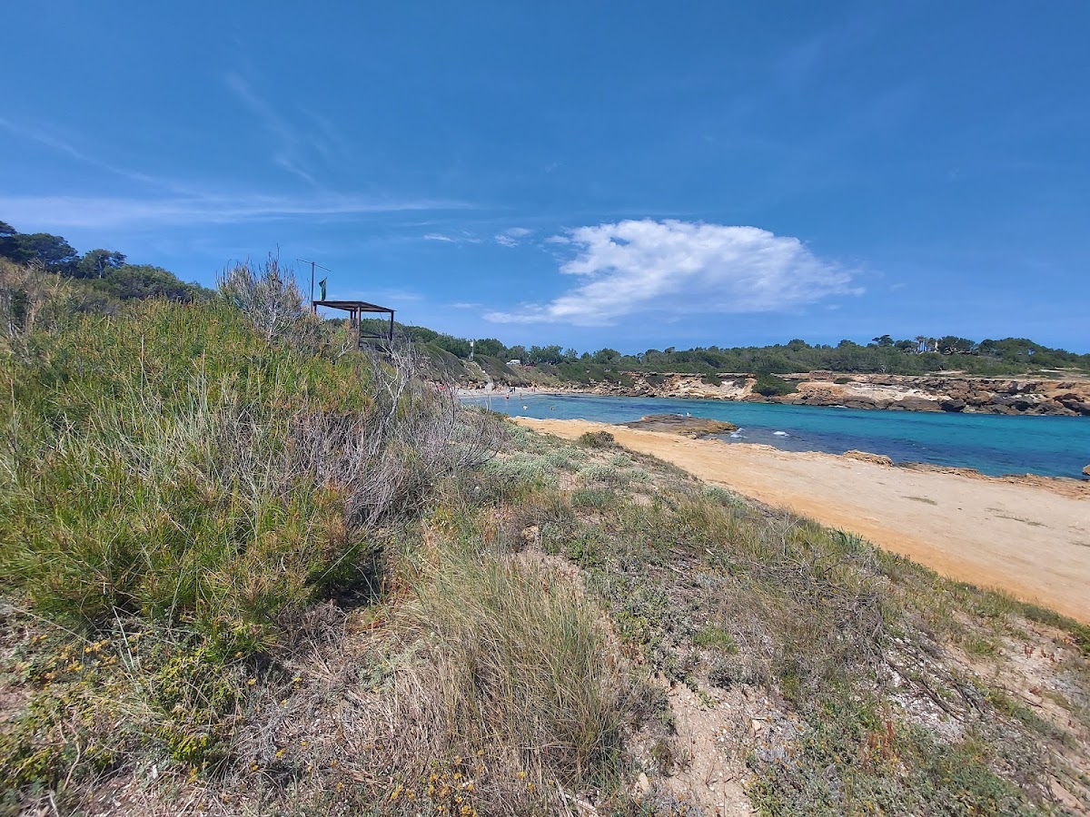 Platja de Sa Font de Sant Joan