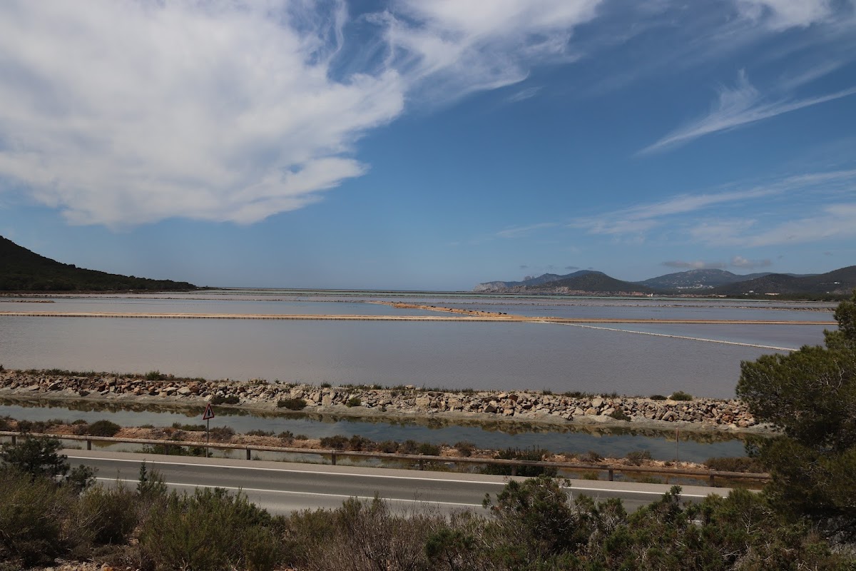 Parc Natural de ses Salines