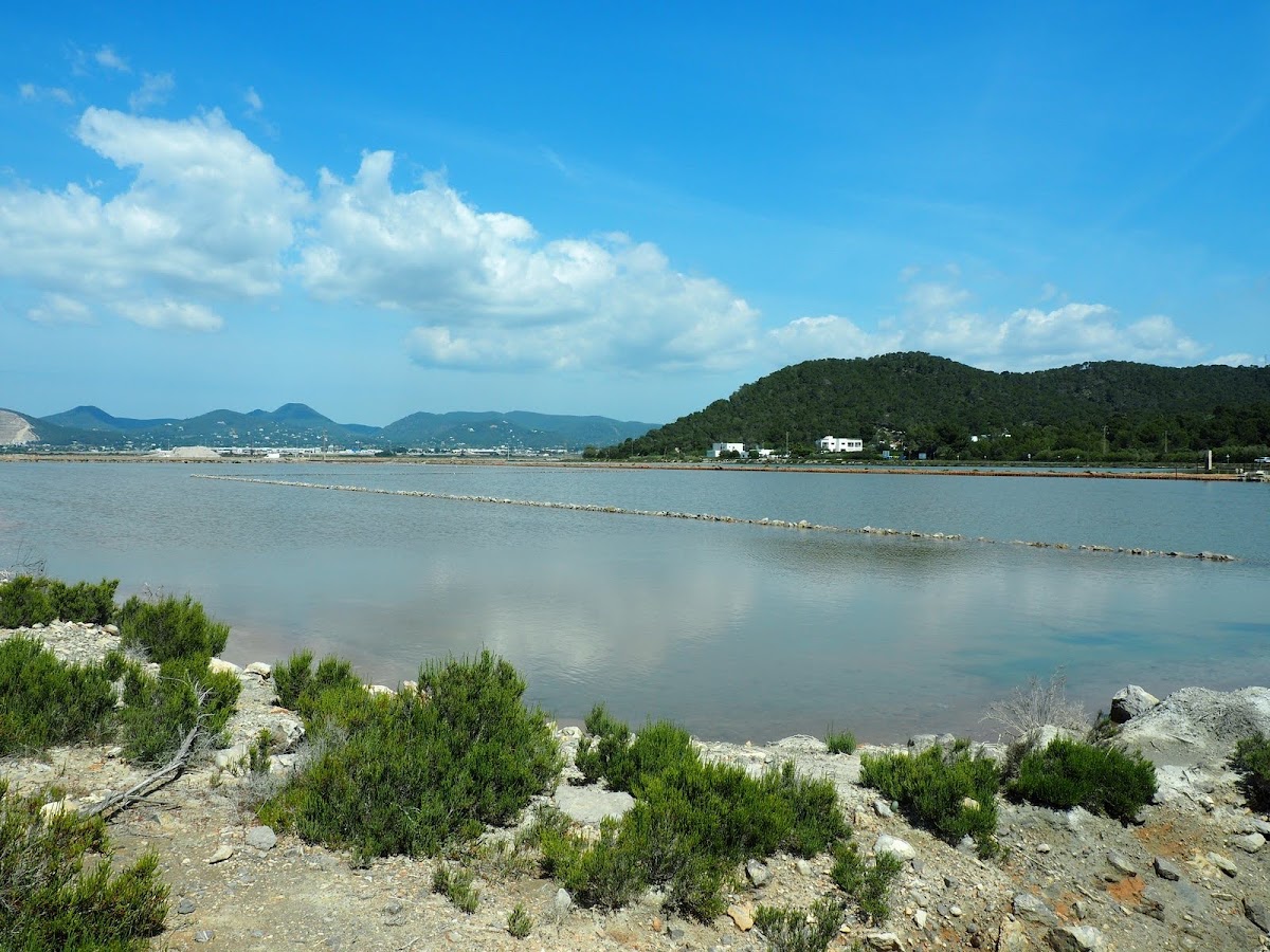Parc Natural de ses Salines