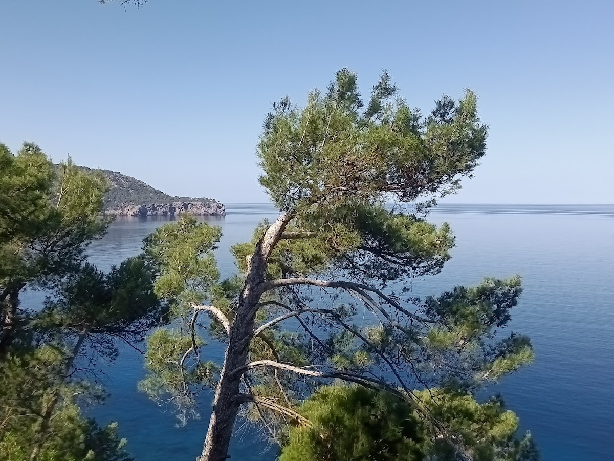 Béns d'Avall Restaurant