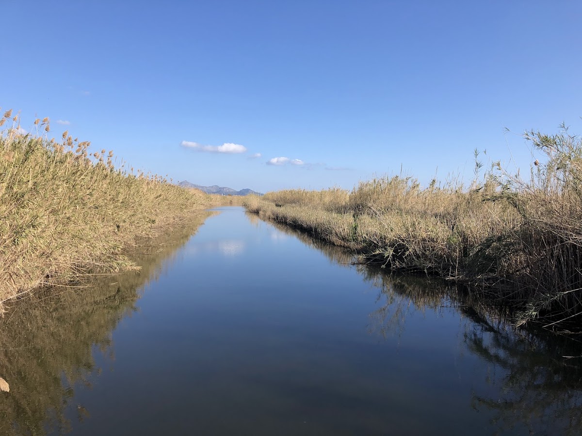Parc Natural de s'Albufera de Mallorca