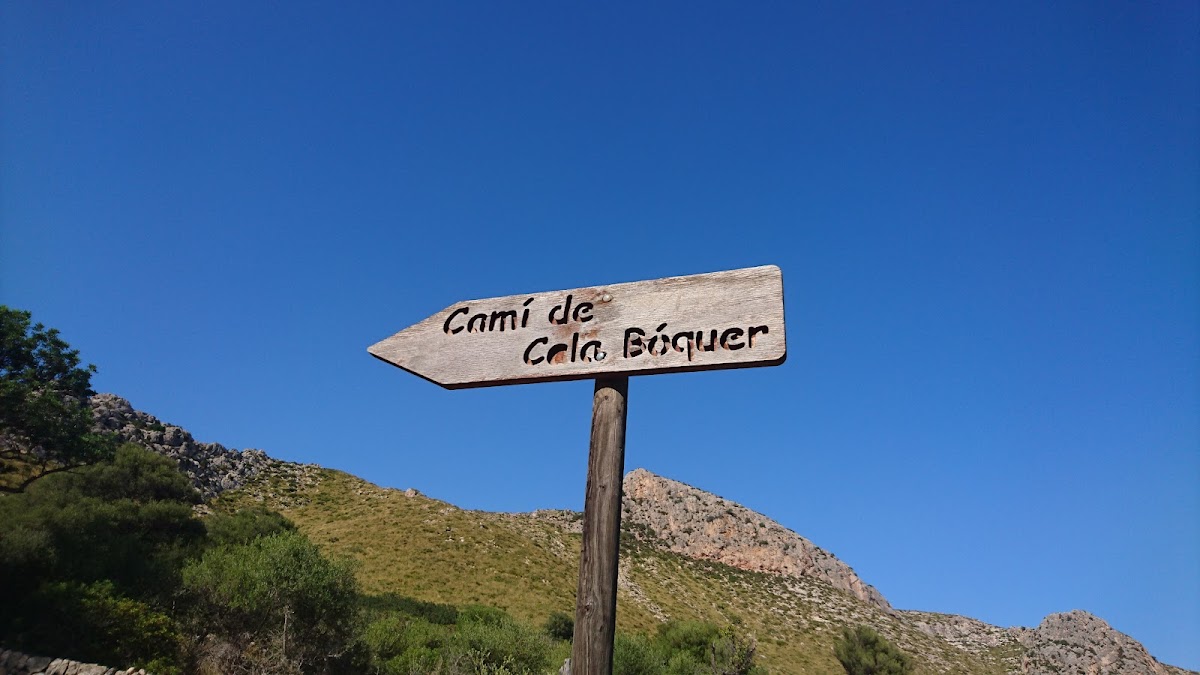 Boquer Valley