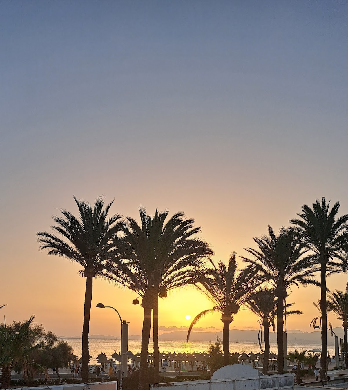 Bolero Mallorca