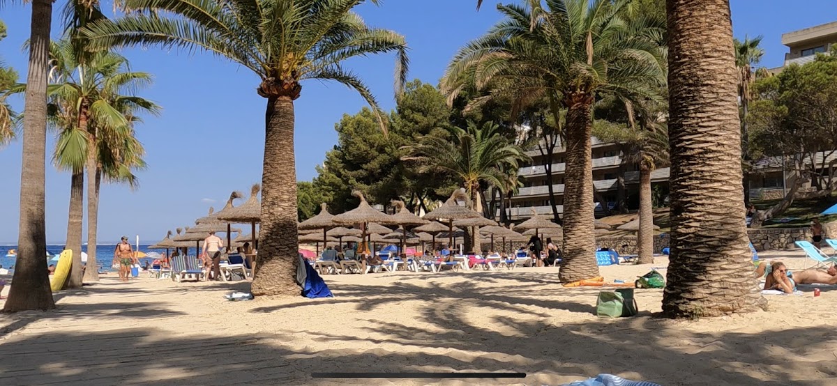 Cala Vinyes