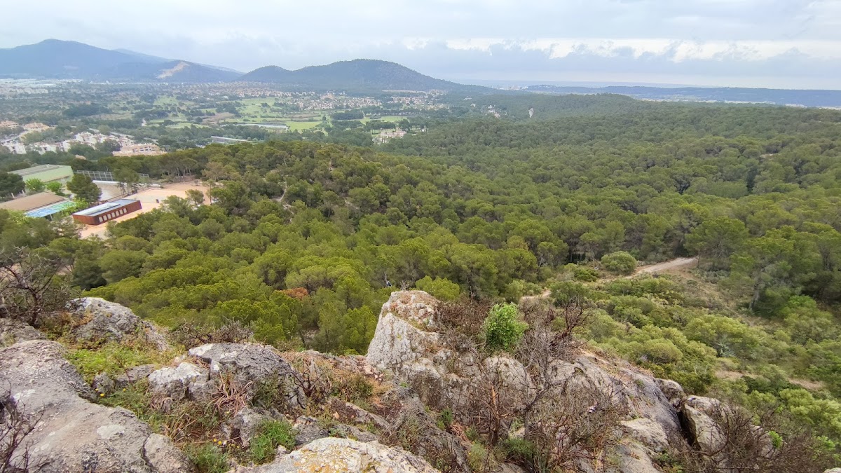 Puig de sa Morisca Archaeological Park