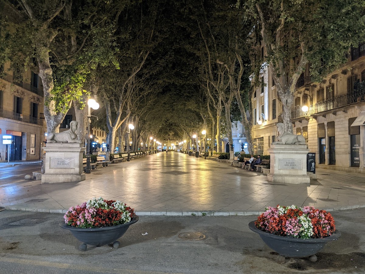 Passeig del Born