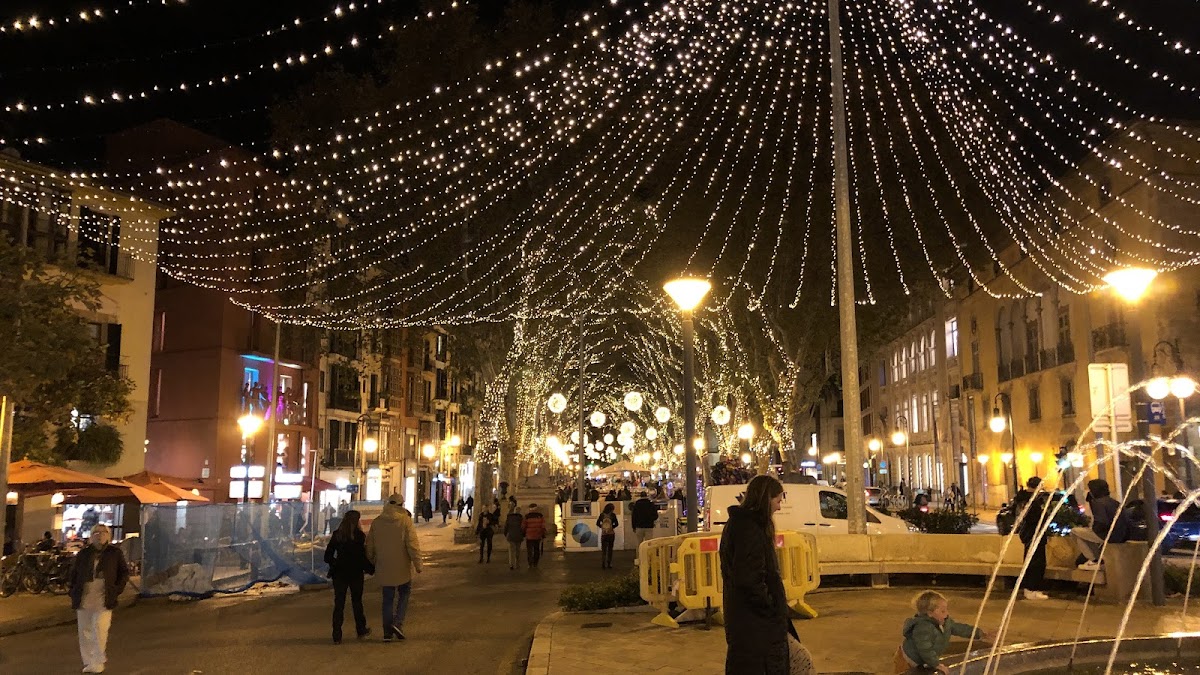 Passeig del Born