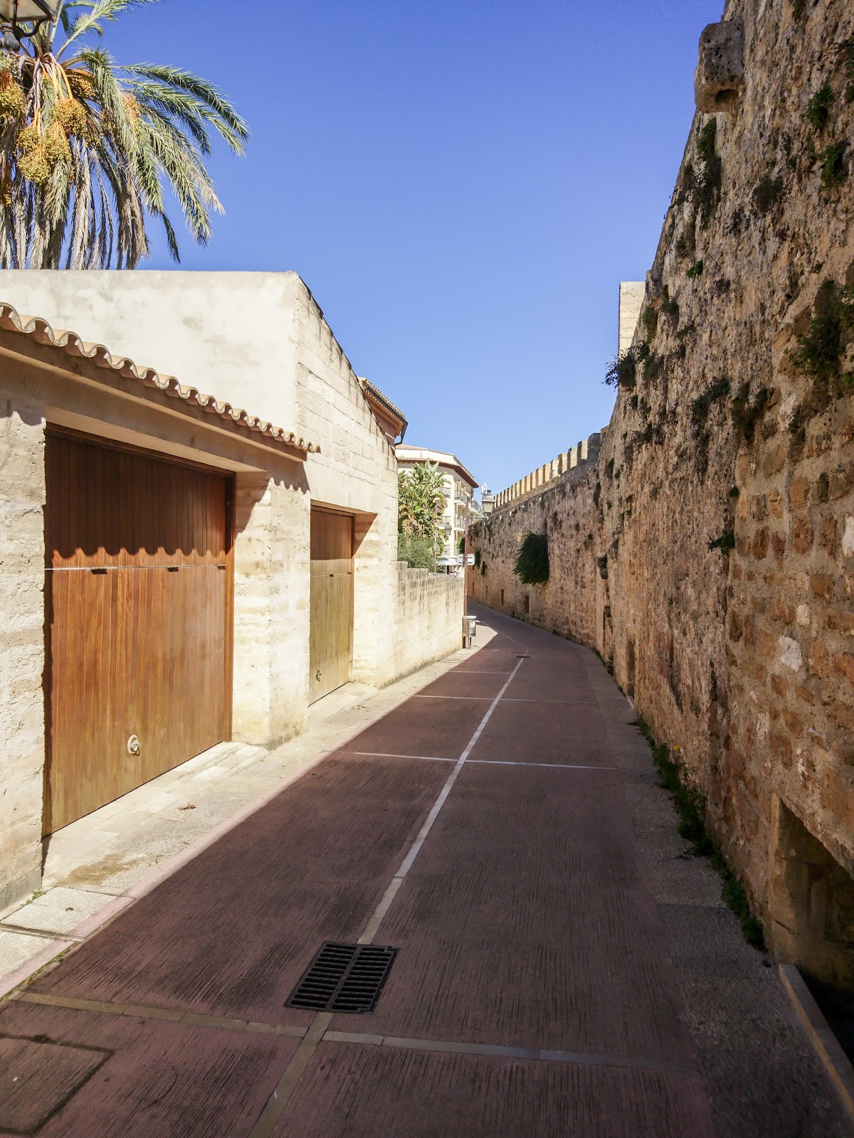 Medieval Walls