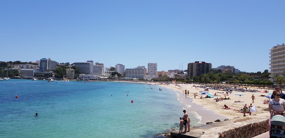 Palma Nova