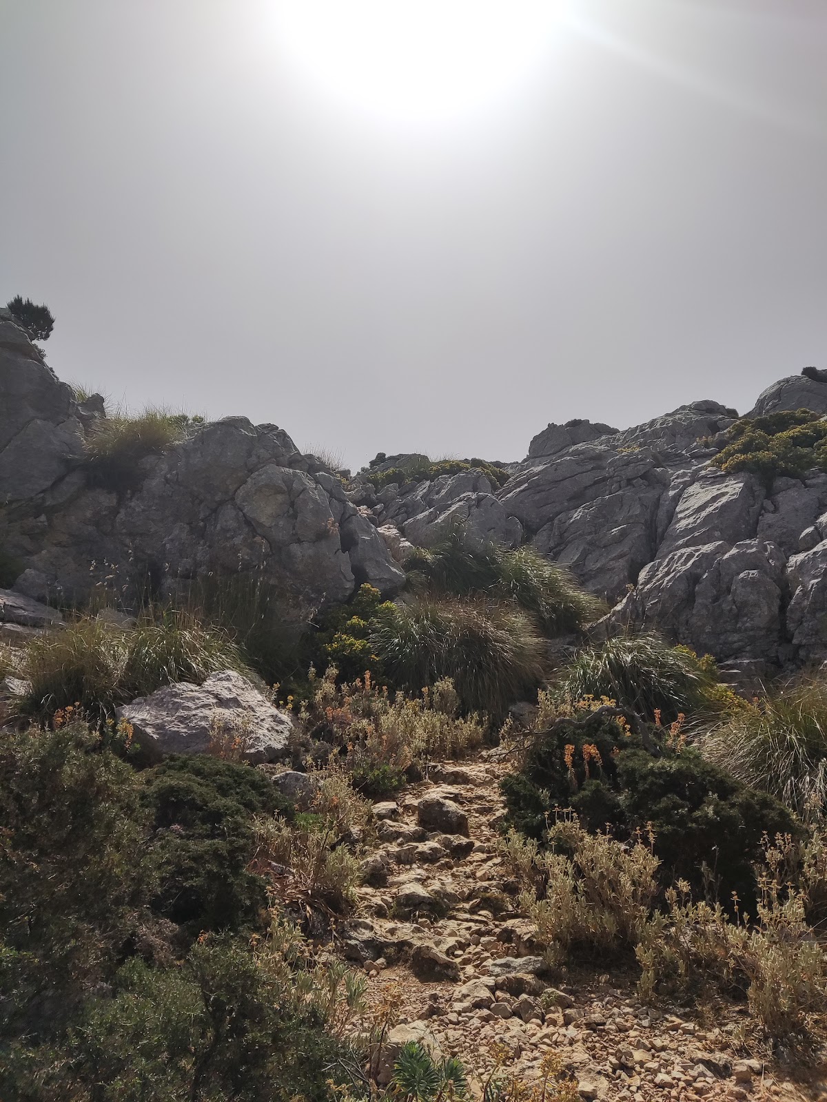 Puig del Teix