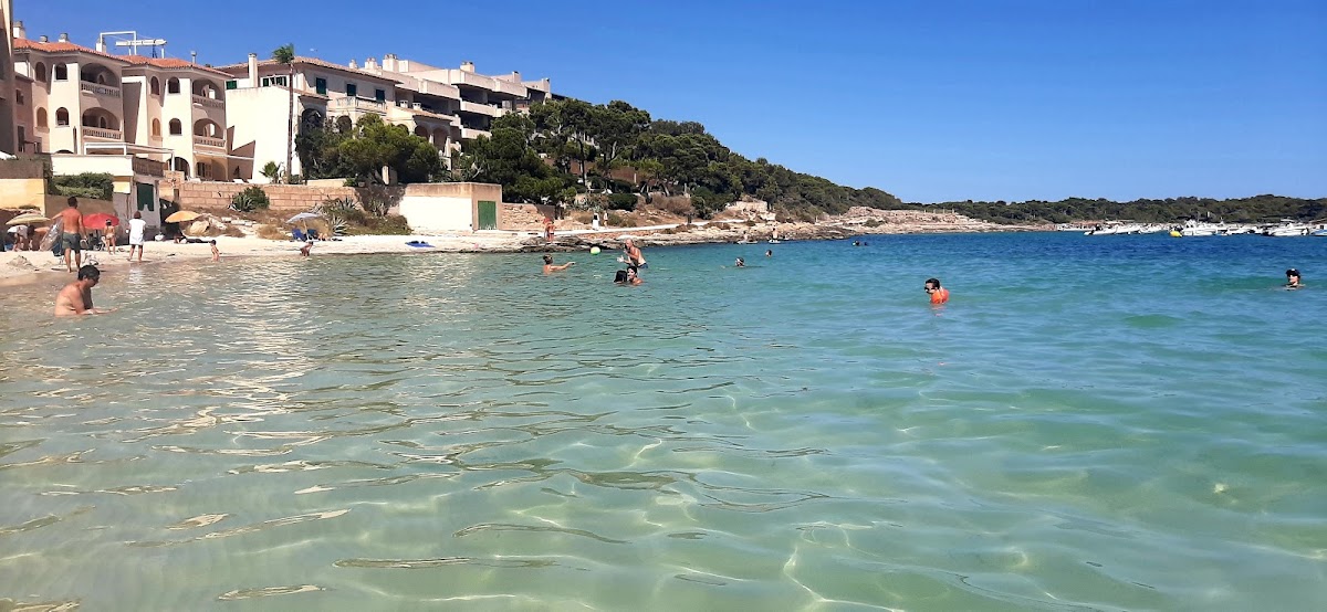 Colònia de Sant Jordi