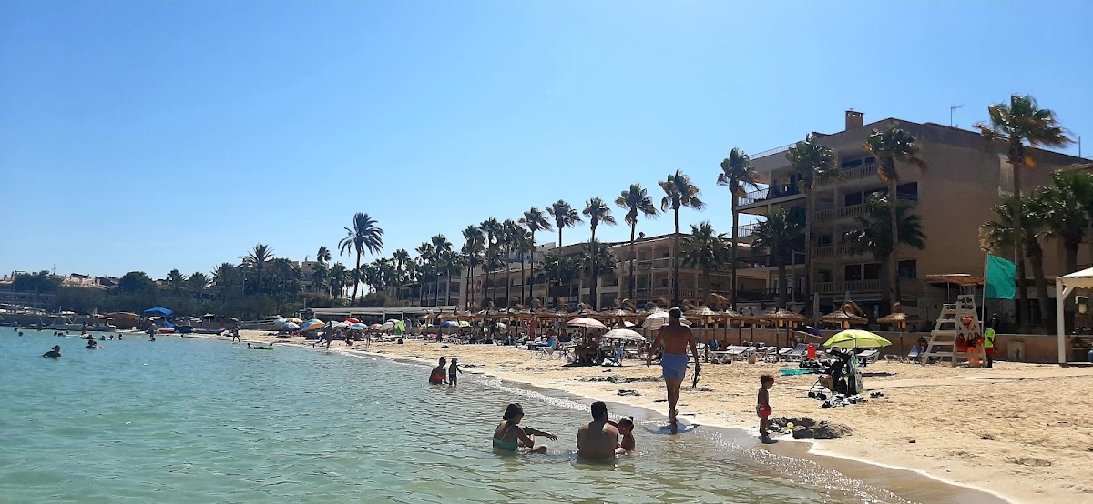 Colònia de Sant Jordi
