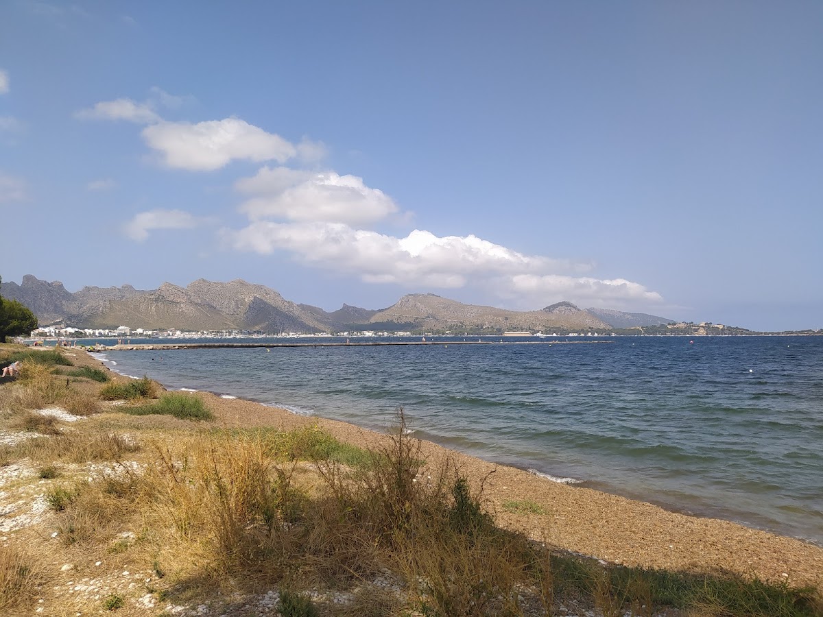 Sa Marina
