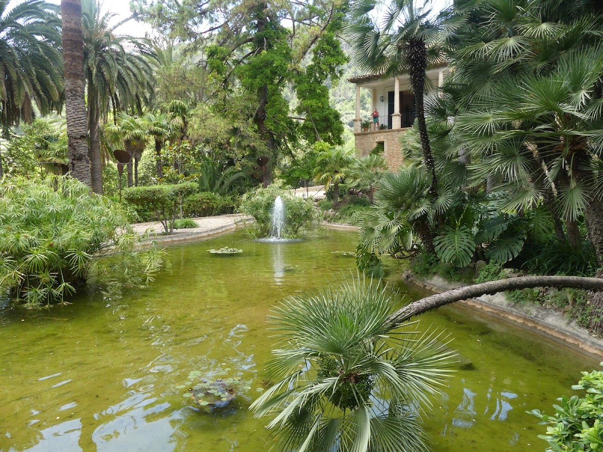 Jardins d'Alfàbia