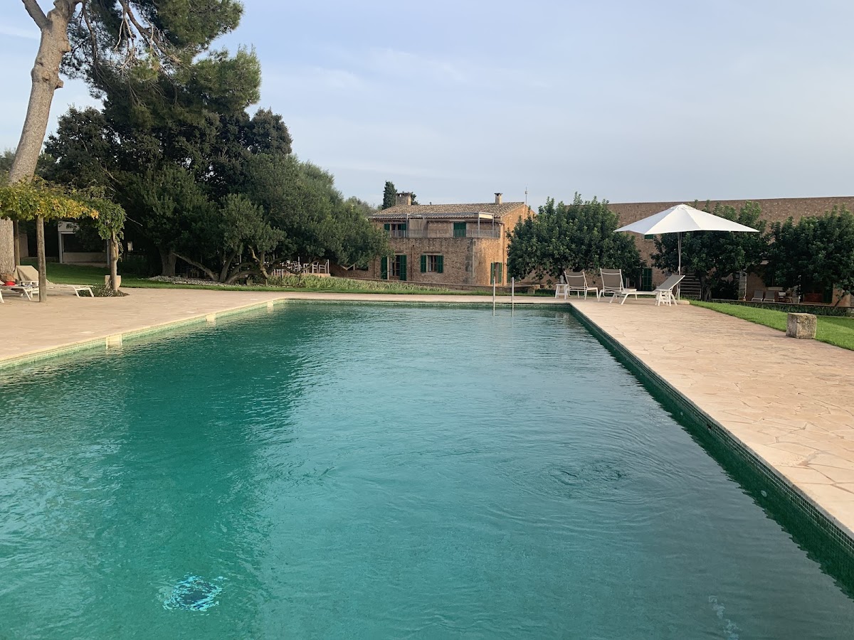 SON BERNADINET