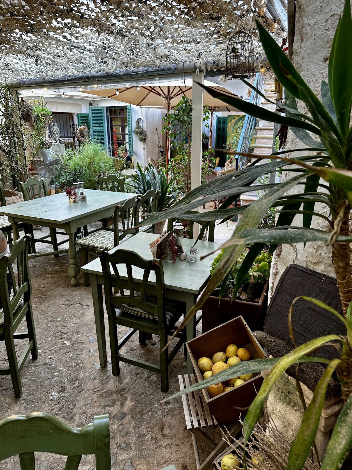 RESTAURANTE SA BOTIGA SANTANYÍ