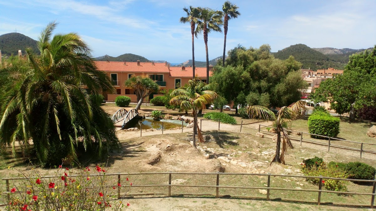 Castell de Son Mas