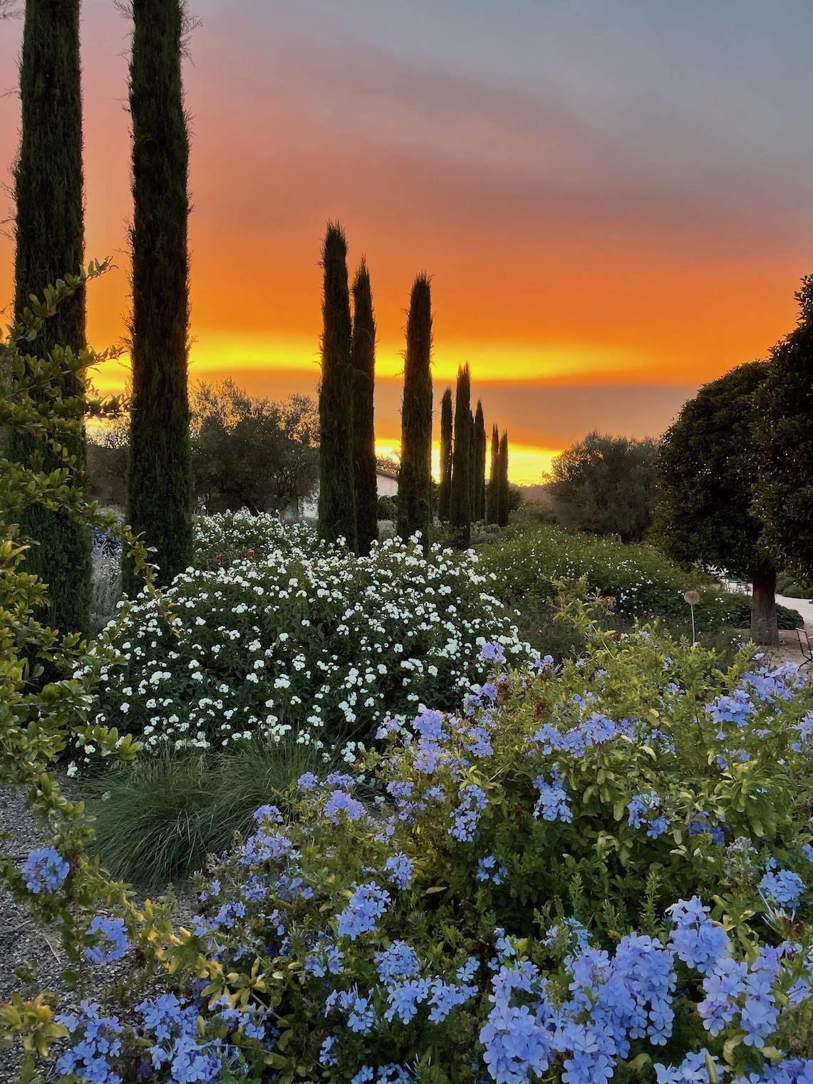 Son Sion retreat center