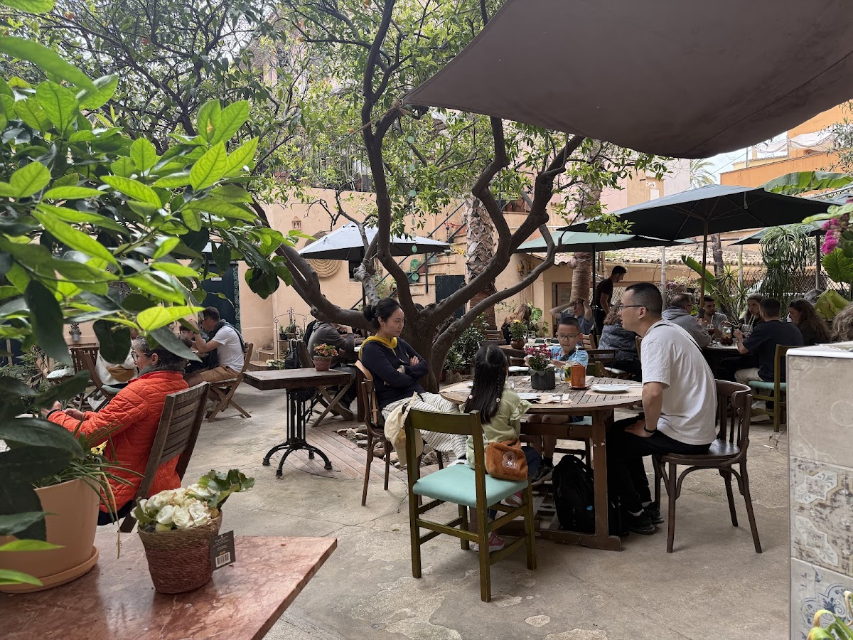 Temple Natura Café Garden
