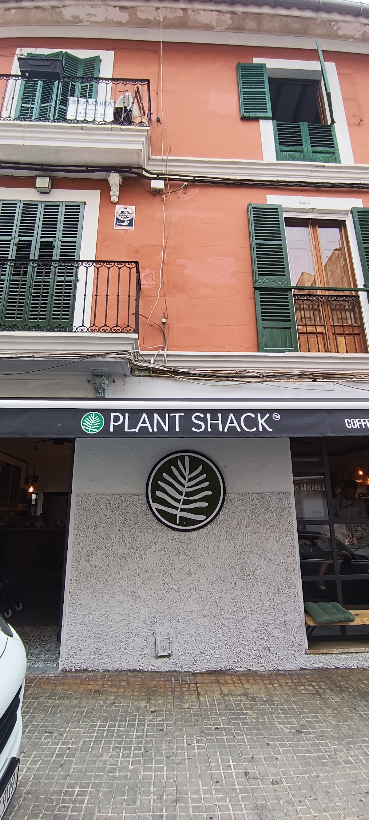 PLANT SHACK Santa Catalina
