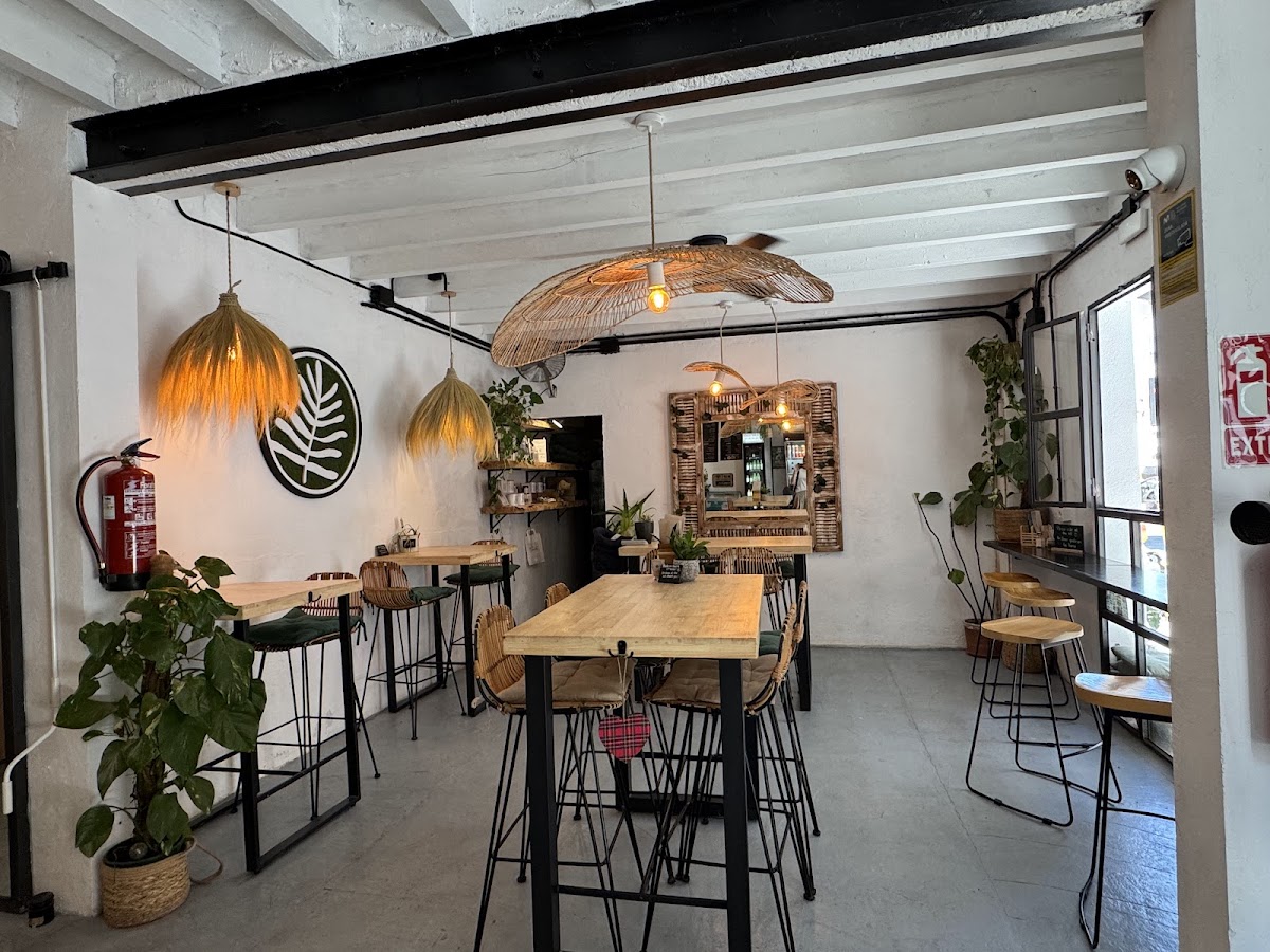 PLANT SHACK Santa Catalina